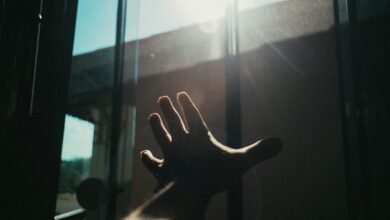 on page optimization success